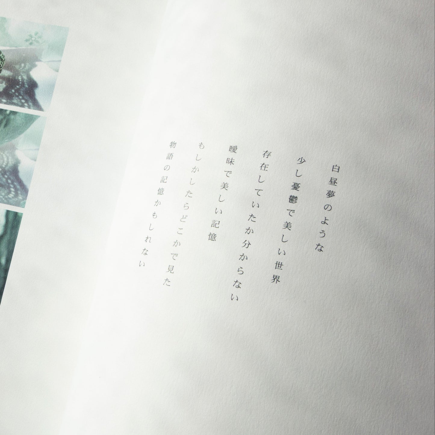MESS MEMORIES vol.1 -Book-